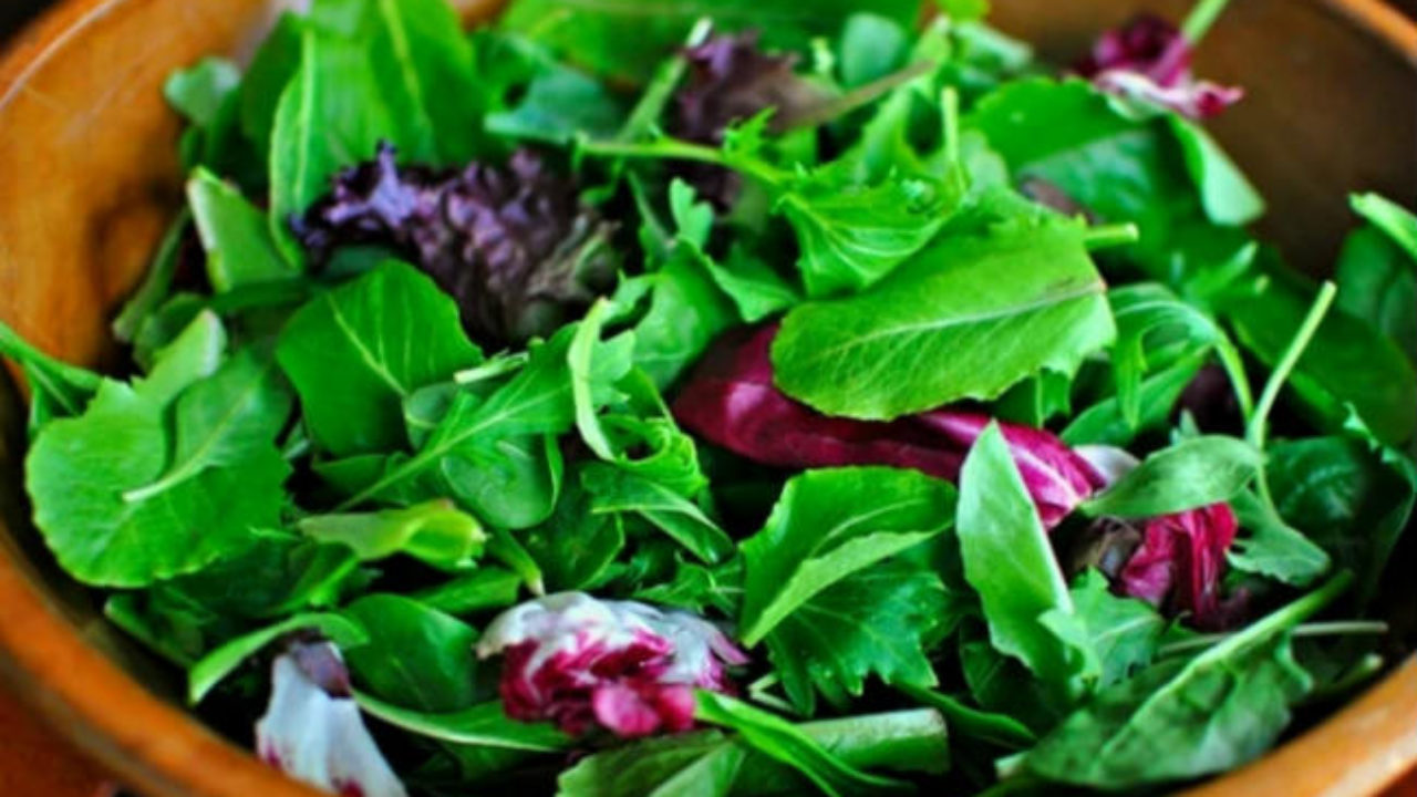 3 folhas para variar a sua salada verde